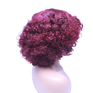 Bouncy Curly Pre-Made Human Hair Wig- Wine (6585262702678)