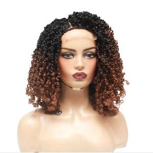 Passion Twist Brown Ombre Lace Closure Braided Wig (4979508969558)