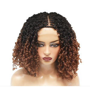 Passion Twist Brown Ombre Lace Closure Braided Wig (4979508969558)