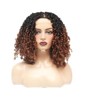 Passion Twist Brown Ombre Lace Closure Braided Wig (4979508969558)