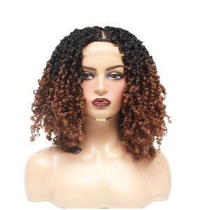 Passion Twist Brown Ombre Lace Closure Braided Wig (4979508969558)