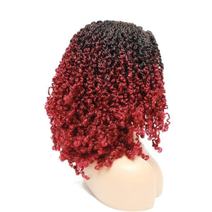 Passion Twist Ombre Two Tone Lace Closure Braided Wig- 1/35 - Medium - 56cm $190 Sprint Twists QualityHairByLawlar (4991165136982)